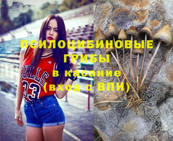 прущие грибы Балабаново