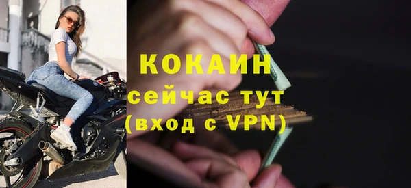 прущие грибы Балабаново