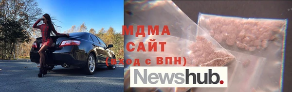 прущие грибы Балабаново