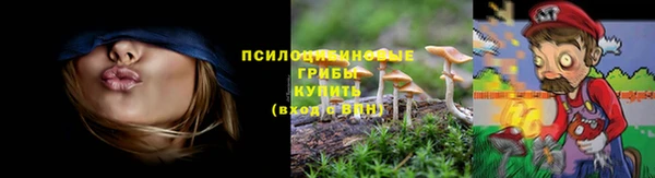 бутират Баксан