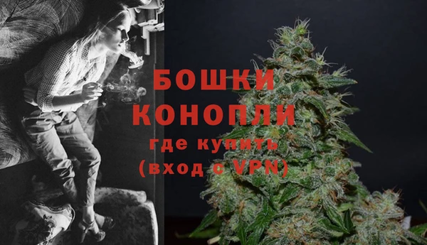 прущие грибы Балабаново