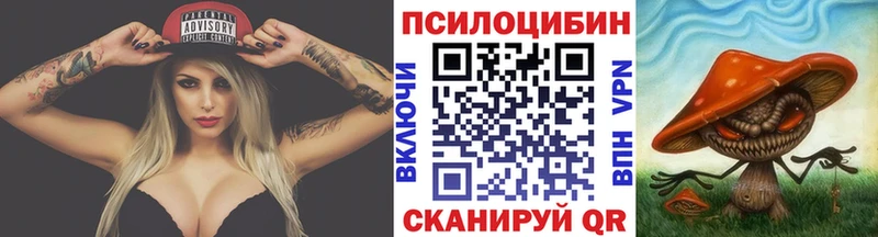 Галлюциногенные грибы мухоморы  где купить наркотик  Баксан 